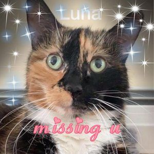 Meet your Posher, Joanne